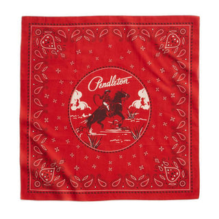 3 Pack Bandana Multi
