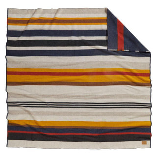 Bridger Twin Blanket Cascade Stripe