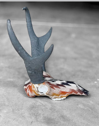 Pronghorn Replica Skull Euro Mount With Pendleton's Mesilla Wool Fabric