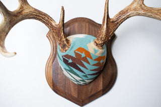 Whitetail Deer Antler Mount Tucson Aqua