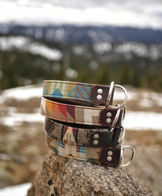 Tahoe Bear Collars