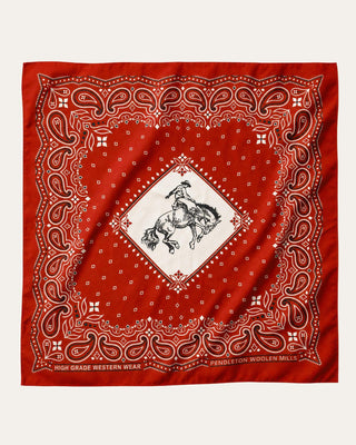 Silk Scarf Rodeo Spirit