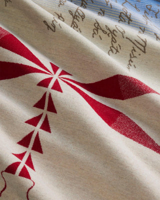 AICF Journey Blanket