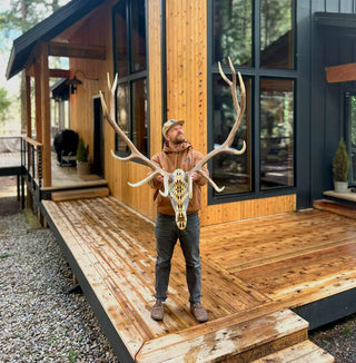 Upholstered Replica Elk Skull Euro Mount Rancho Arroyo