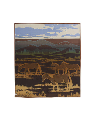 Shadow Mountain Blanket