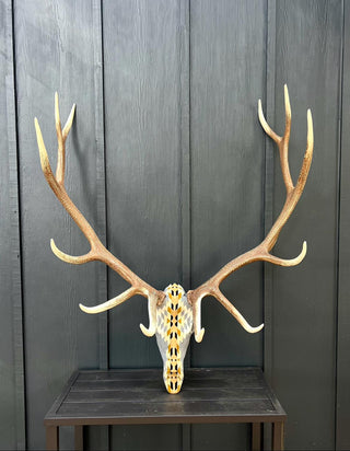 Upholstered Replica Elk Skull Euro Mount Rancho Arroyo