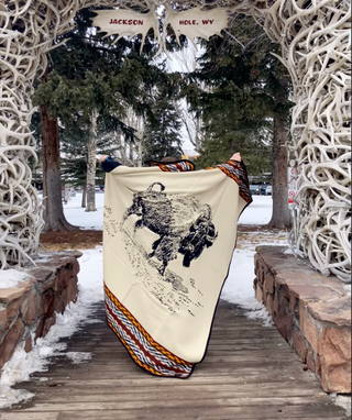 Pendleton buffalo blanket sale