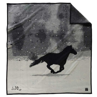 A Horse Called Paint Blanket