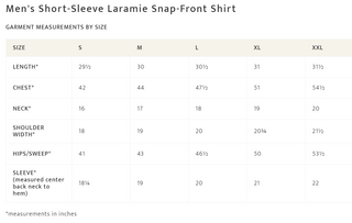 Men's Laramie Shirt Laurel Grove Stripe