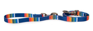 Pendleton Pet National Park Adventure Leash 1in x 6ft