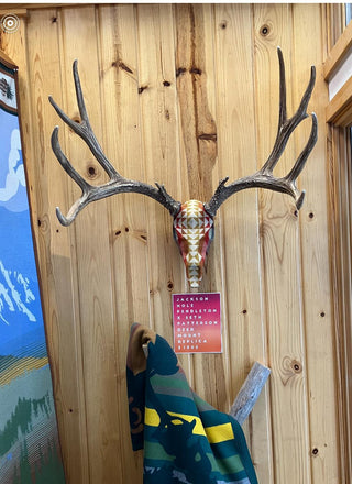 Upholstered Replica Mule Deer Skull Euro Mount With Smith Rock Fabric